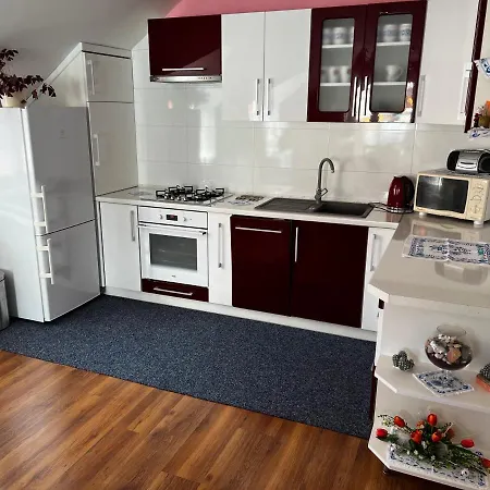 Privat Daniela Проживание в семье *