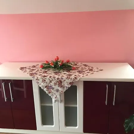 Проживание в семье Privat Daniela *