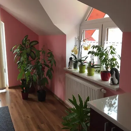 Privat Daniela * Štrba