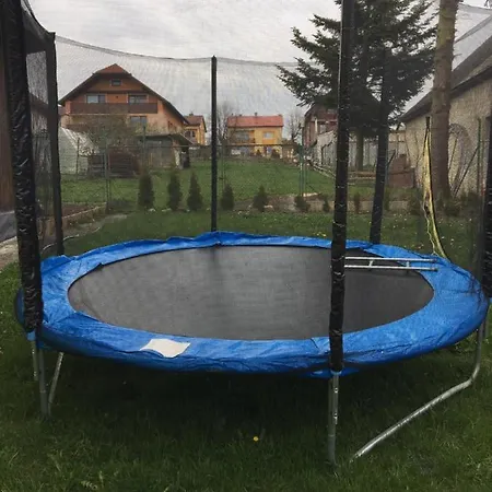 Проживание в семье Privat Daniela *