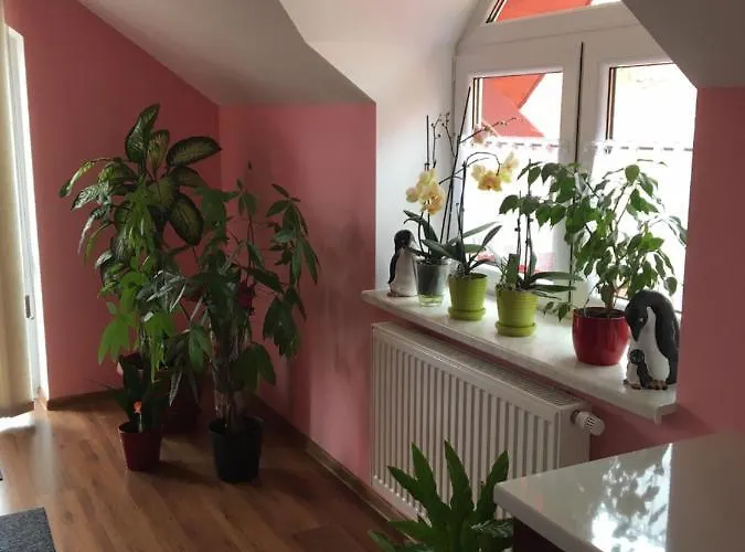 Privat Daniela * Štrba